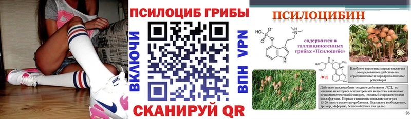 Купить  Ачхой-Мартан  Галлюциногенные грибы Cubensis 