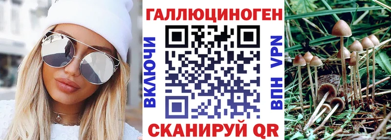 Галлюциногенные грибы Psilocybine cubensis Ачхой-Мартан